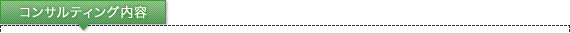 コンサルティング内容